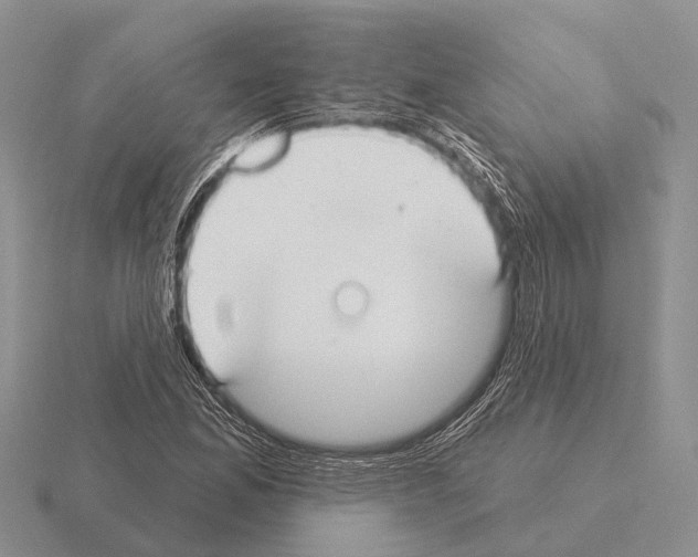 X0000115431165200912161428