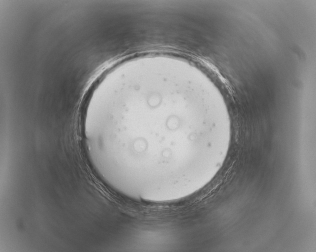 X0000115431167200912161428