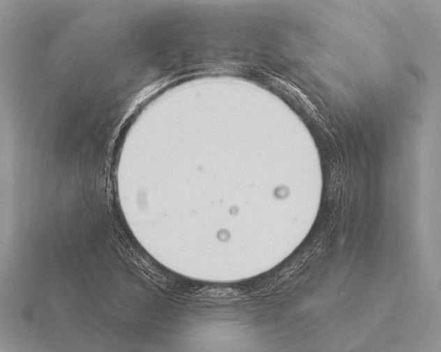 X0000115431168200912161428