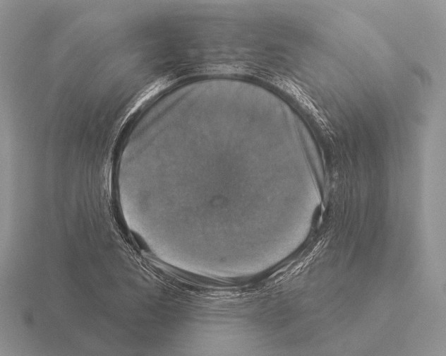 X0000115431173200912161428