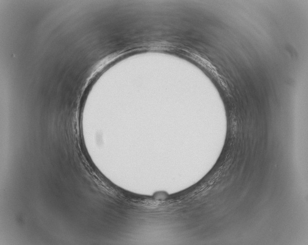 X0000115431176200912161428