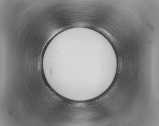 X0000115431178200912161428