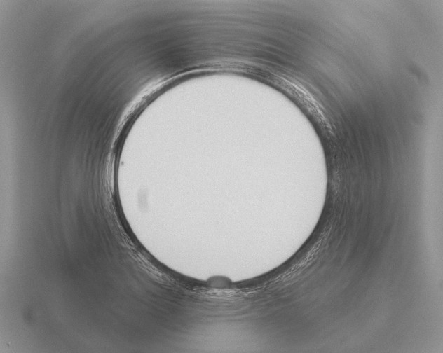 X0000115431180200912161428