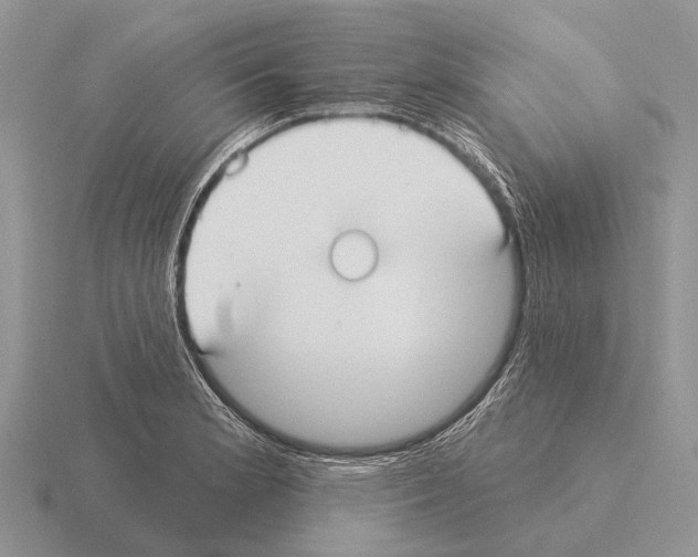 X0000115431181200912161428