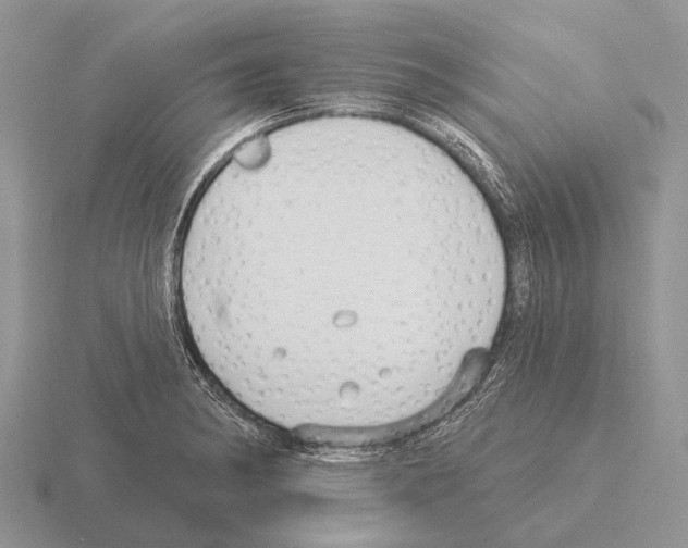 X0000115431182200912161428