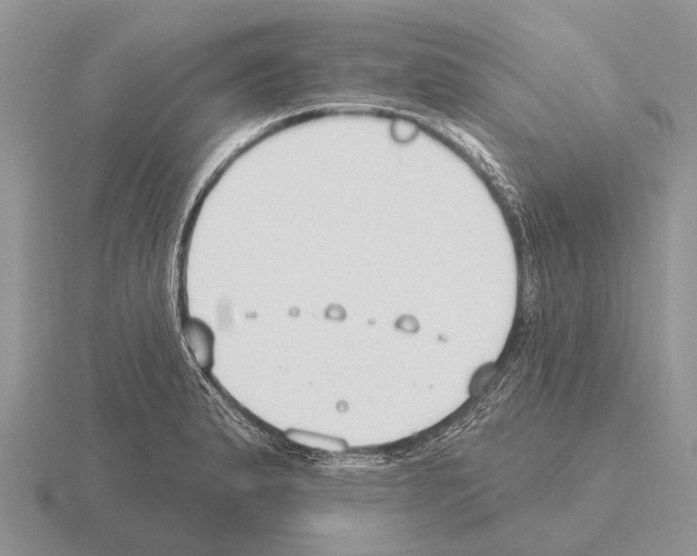 X0000115431183200912161428