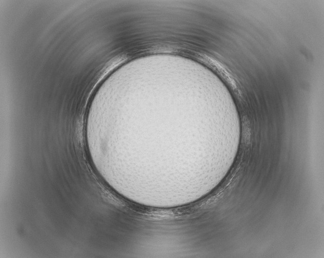 X0000115431186200912161428