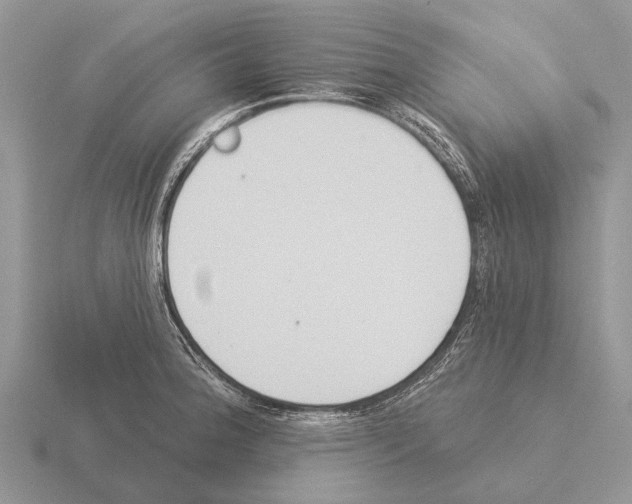 X0000115431188200912161428