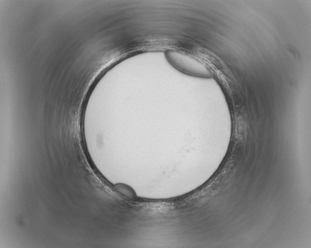 X0000115431189200912161428