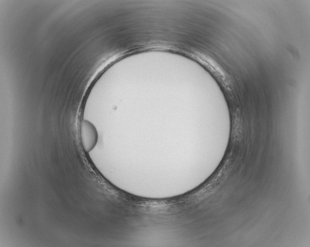 X0000115431190200912161428