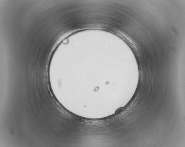 X0000115431192200912161428