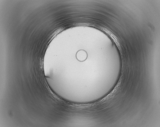 X0000115431193200912161428