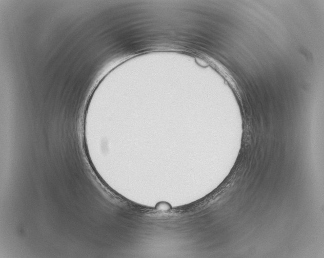 X0000115431195200912161428