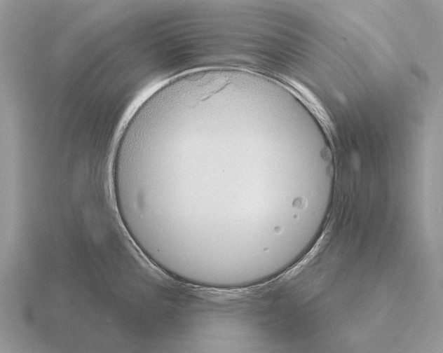 X0000115431196200912161428