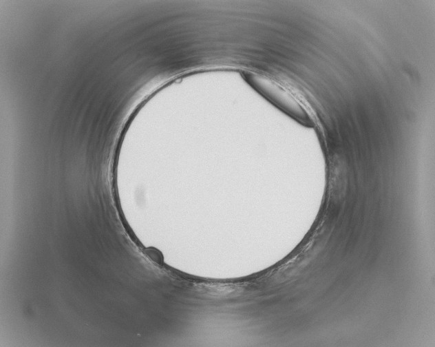 X0000115431197200912161428