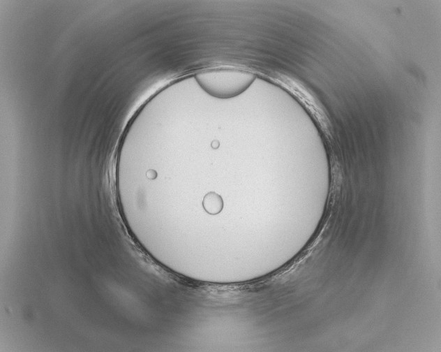 X0000115431198200912161428