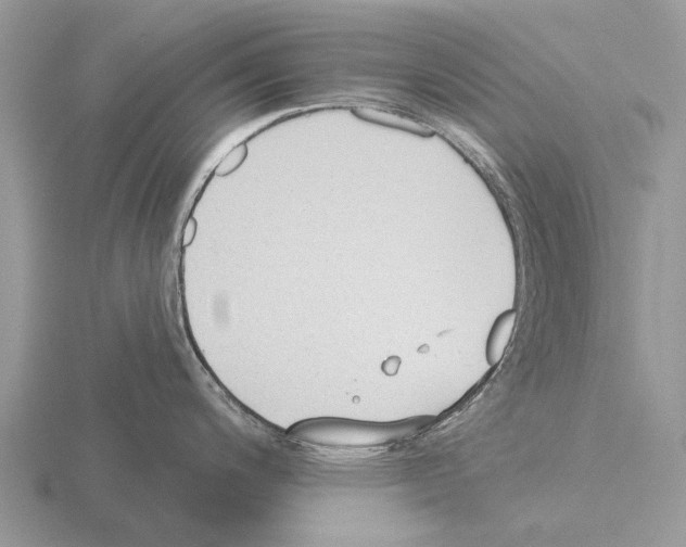 X0000115431200200912161428