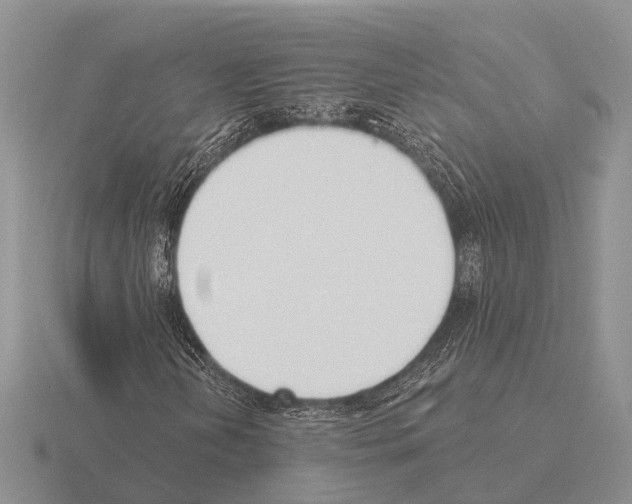 X0000115431202200912161427