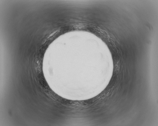 X0000115431205200912161427