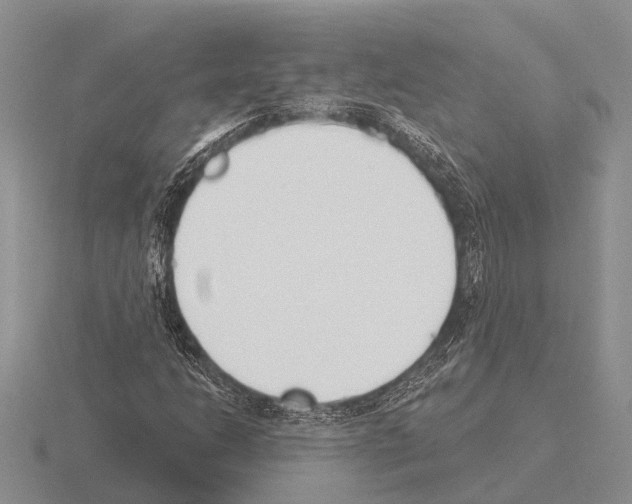 X0000115431206200912161427