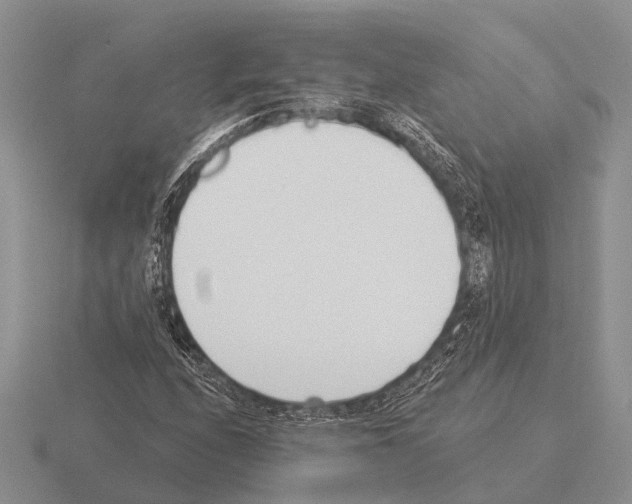 X0000115431208200912161427