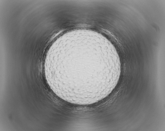 X0000115431220200912161427