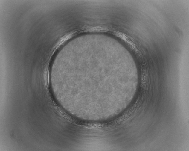 X0000115431221200912161427