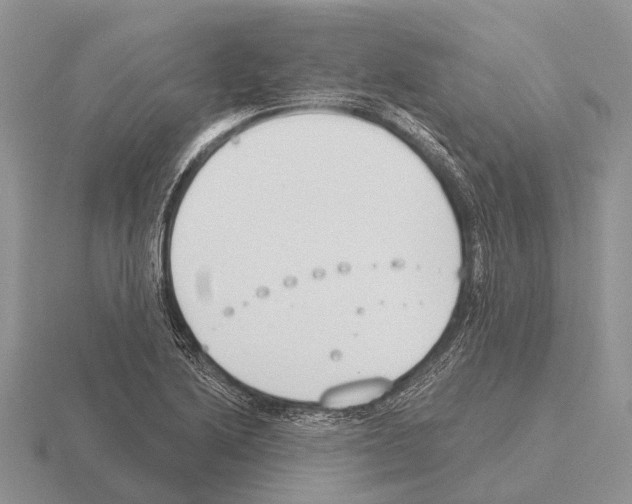 X0000115431222200912161427