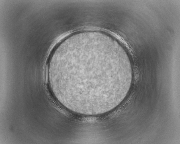 X0000115431223200912161427