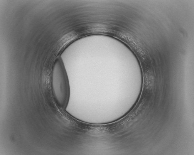 X0000115431225200912161427