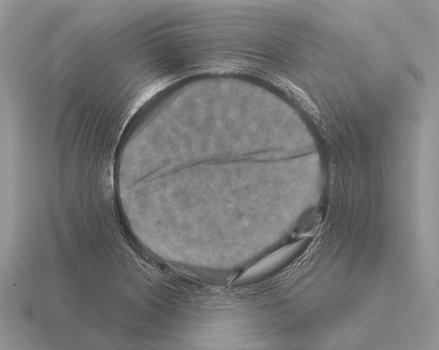 X0000115431226200912161427