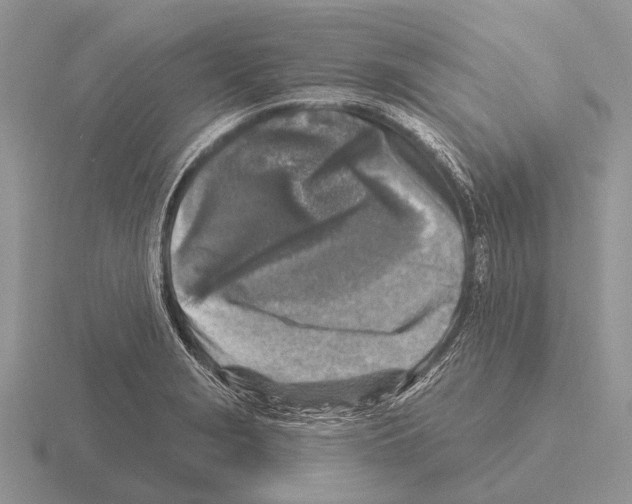 X0000115431229200912161427