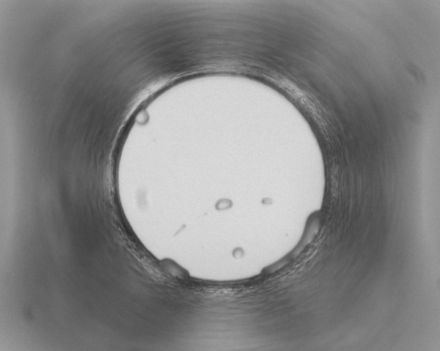 X0000115431230200912161427