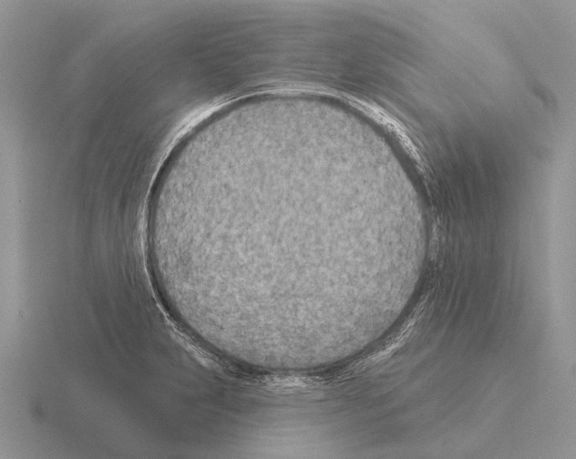 X0000115431231200912161427