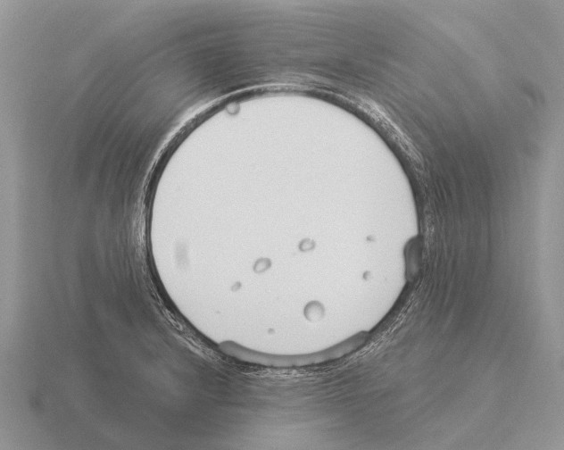 X0000115431232200912161427