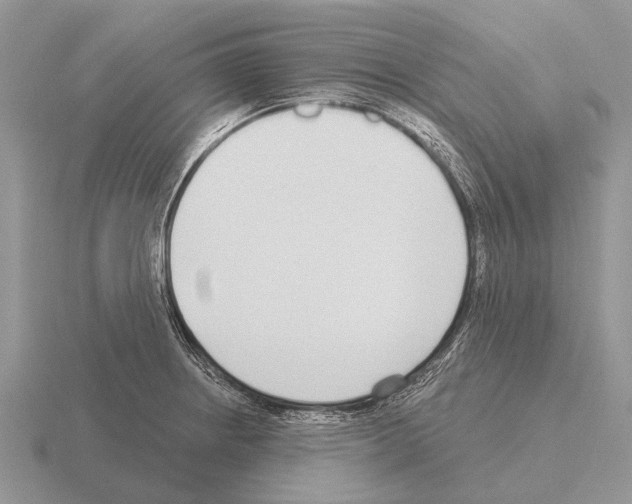 X0000115431234200912161427