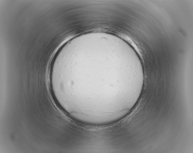 X0000115431235200912161427