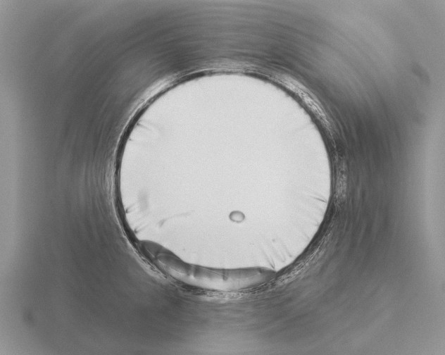 X0000115431237200912161427