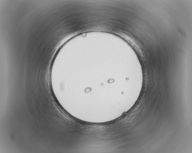 X0000115431238200912161427