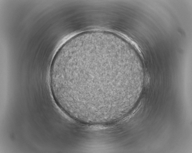 X0000115431239200912161427