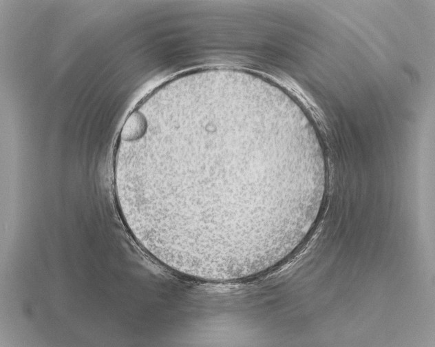 X0000115431240200912161427