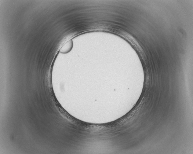 X0000115431242200912161427