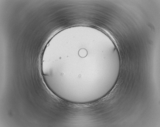 X0000115431243200912161427