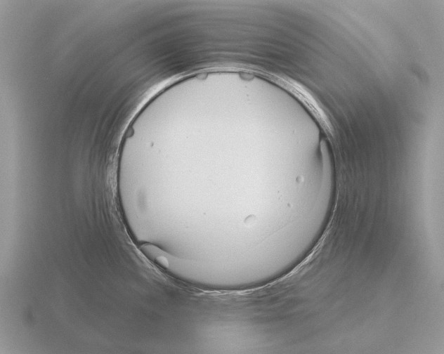 X0000115431244200912161427