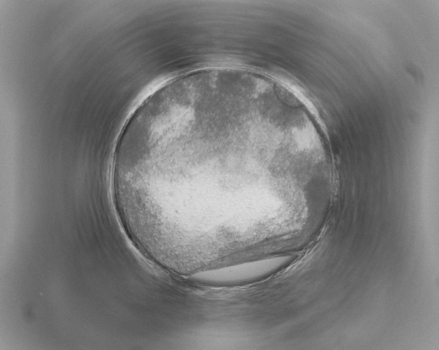 X0000115431245200912161427