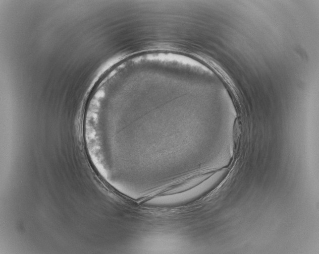 X0000115431246200912161427