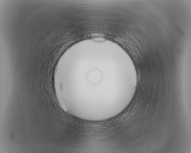 X0000115431249200912161427