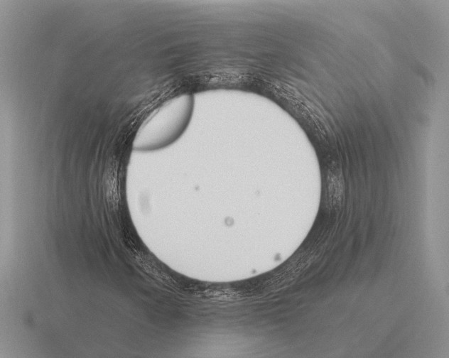 X0000115431250200912161427