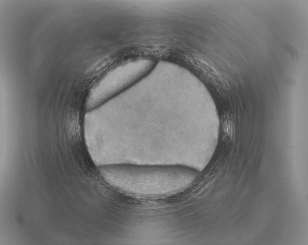 X0000115431252200912161427