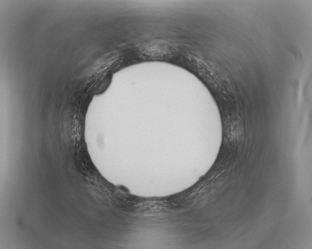 X0000115431253200912161427